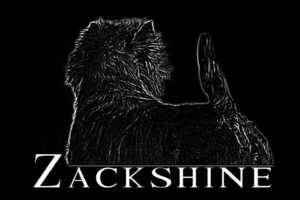 Logo_zackshine